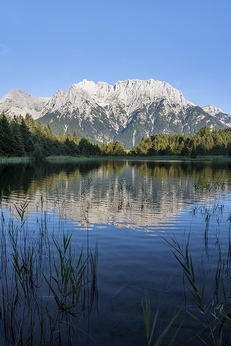 Zugspitze reflected in, Luttensee, Bavaria, Germany, Europe, by Moritz Wolf