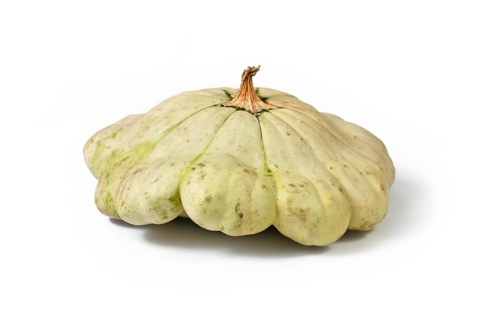 Light yellow Pattypan squash with round and shallow shape and scalloped edges on white background, by Firn