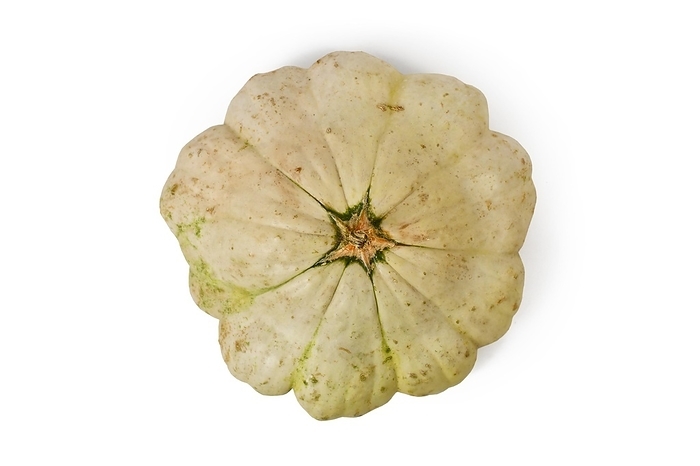 Top view of Pattypan squash with round and shallow shape and scalloped edges on white background, by Firn