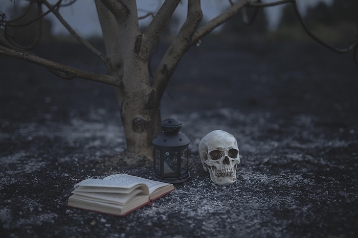 Beautiful halloween concept with spell books skull, by Oleksandr Latkun