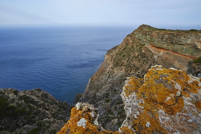 Morning light Salto la Vechia, cliff, reddish tuff, Pantelleria, Pelagic Islands, Sicily, Italy, Europe, by Ralf Adler
