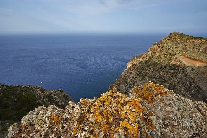 Morning light Salto la Vechia, cliff, reddish tuff, Pantelleria, Pelagic Islands, Sicily, Italy, Europe, by Ralf Adler