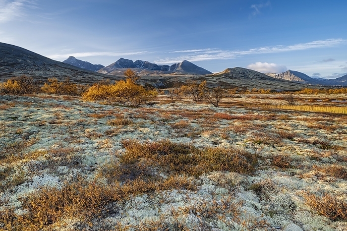 Autumn landscape in Rondane National Park, mountains Høgronden, Midtronden and Digerronden Dørålen, Dørålseter, Norway, Europe, by Robert Haasmann