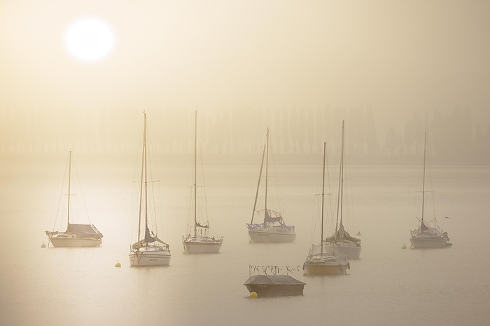 Fog over Lake Constance on an autumn morning with sailing boats, Seegarten, Allensbach, Baden-Württemberg, Germany, Europe, by Stefan Arendt
