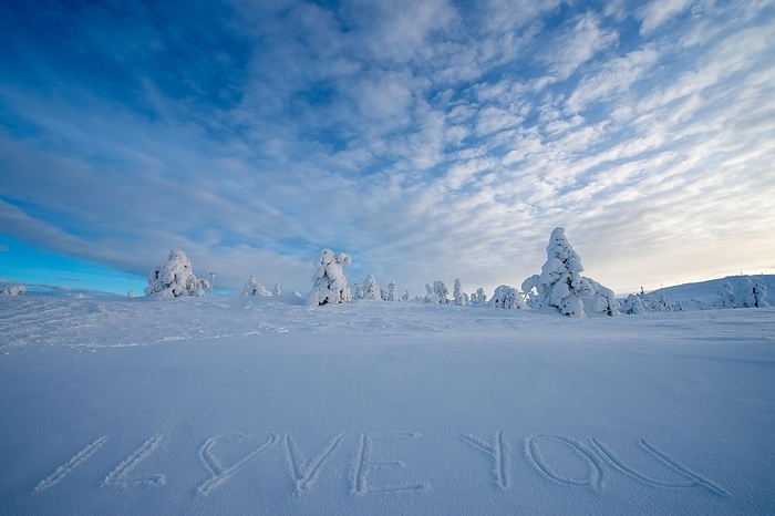 Winter landscape with snow-covered trees and the writing I Love You written in the snow, Levi, Finland, Europe, by Manfred Stutz