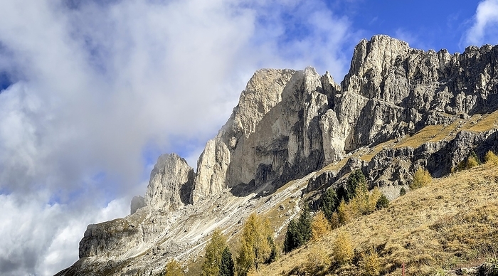 Rose garden massif and clouds in autumn, yellow larches, Paolina, Carezza, Dolomites, South Tyrol, Italy, Europe, by Michael Szönyi