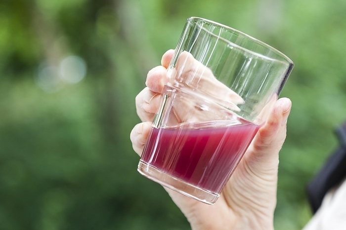 Glass in the hand of an older woman with red drink, juice, Berlin, Germany, Europe, by Thomas Born