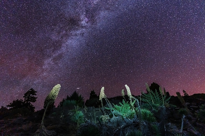 One of the best Milky Ways in the world in the Caldera de Taburiente near Roque de los Muchahos on the island of La Palma, Canary Islands. Spain, astrophotography, by Unai Huizi