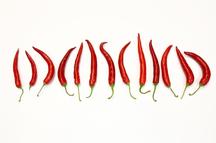 Red chillies arranged against a white background. The image crop has enough free areas to use the image as a template, by fotoping