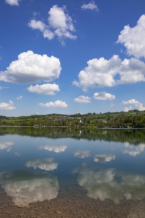 (Cumulus) clouds reflected in the Irrsee, Zell am moss, Salzkammergut, Upper Austria, Austria, Europe, by Wolfgang Weinhäupl