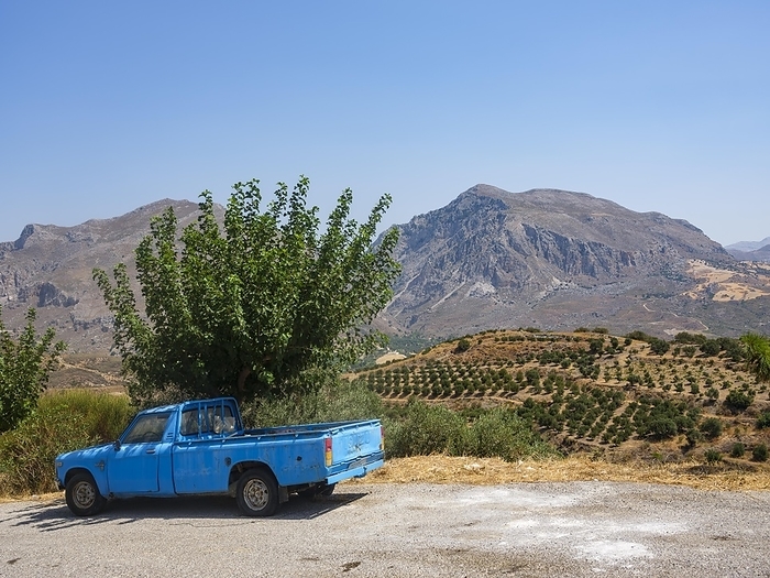 Old pickup in front of olive grove and mountains, Plakias, Crete, Greece, Europe, by Herbert Berger