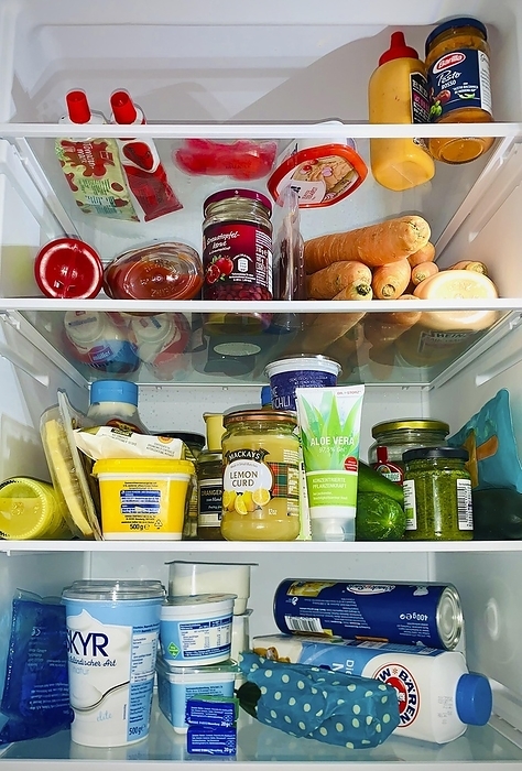 Different food in full refrigerator, interior view, Germany, Europe, by Jens-Christof Niemeyer