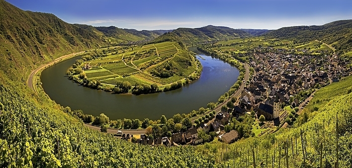 Moselle loop with vineyards and Saint Laurentius Church from the Bremmer Calmont via ferrata, Bremm, Rhineland-Palatinate, Germany, Europe, by Stefan Ziese