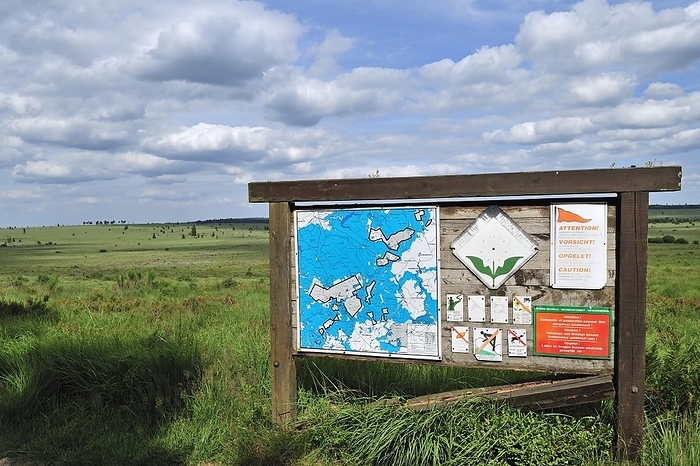 Information board in the nature reserve High Fens, Hautes Fagnes, Belgian Ardennes, Belgium, Europe, by alimdi / Arterra / Philippe Clément