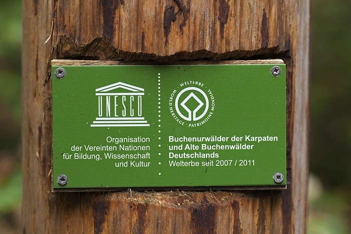 Unesco sign in the Müritz National Park, Müritz Nationalpark, Mecklenburg-Western Pomerania, Germany, Europe, by alimdi / Arterra / Sven-Erik Arndt