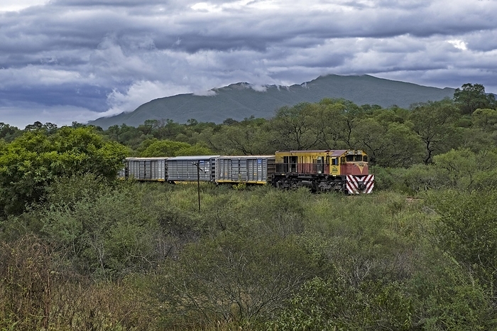 Freight train riding through the foothills of the Andes mountains in the Salta Province, Argentina, South America, by alimdi / Arterra / Marica van der Meer