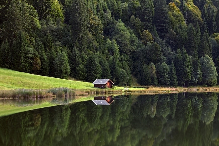 Wooden hut and reflection of pine forest in water along lake Gerold, Geroldsee near Mittenwald, Upper Bavaria, Germany, Europe, by alimdi / Arterra / Sven-Erik Arndt