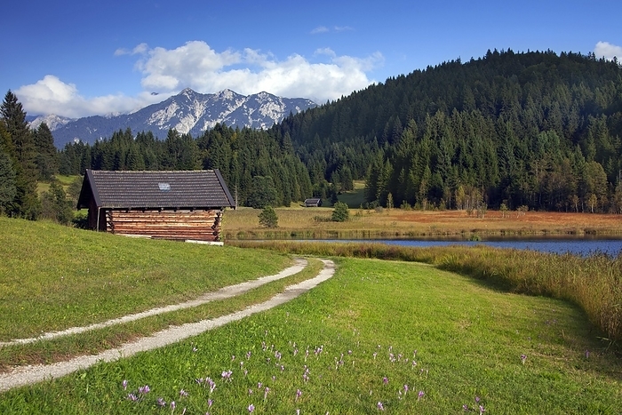 Wooden huts, granaries along lake Gerold, Geroldsee near Mittenwald, Upper Bavaria, Germany, Europe, by alimdi / Arterra / Sven-Erik Arndt