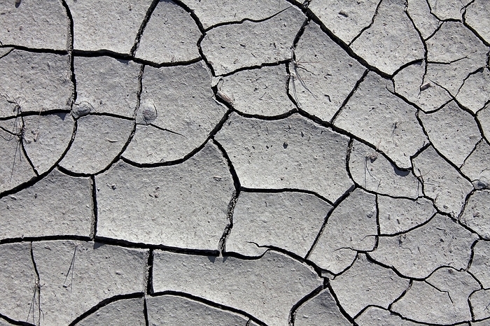 Dry cracked mud in dried out pond, stream caused by prolonged drought due to extreme summer temperatures, by alimdi / Arterra / Sven-Erik Arndt