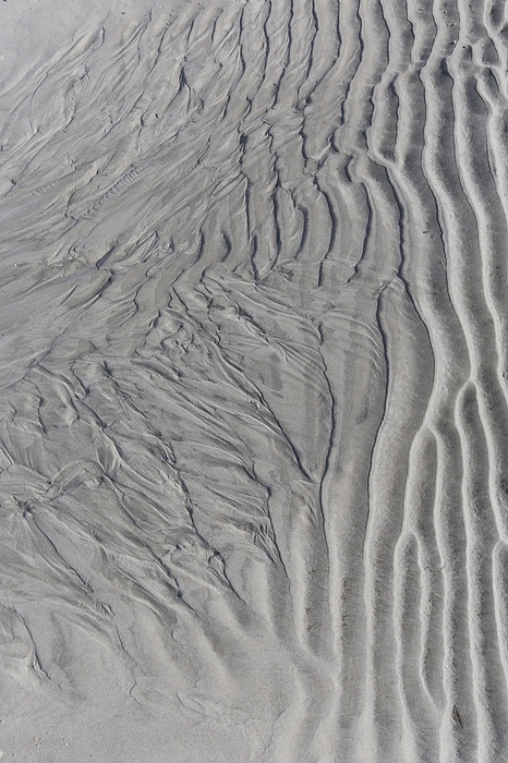 Sand patterns, sand ripples on mud flat, beach at low tide, Wadden Sea National Park, Schleswig-Holstein, Germany, Europe, by alimdi / Arterra / Sven-Erik Arndt