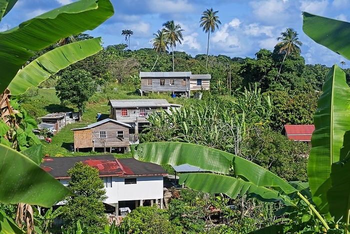 Rural village with wooden houses on stilts on the island of Grenada, West Indies in the Caribbean Sea, by alimdi / Arterra / Marica van der Meer
