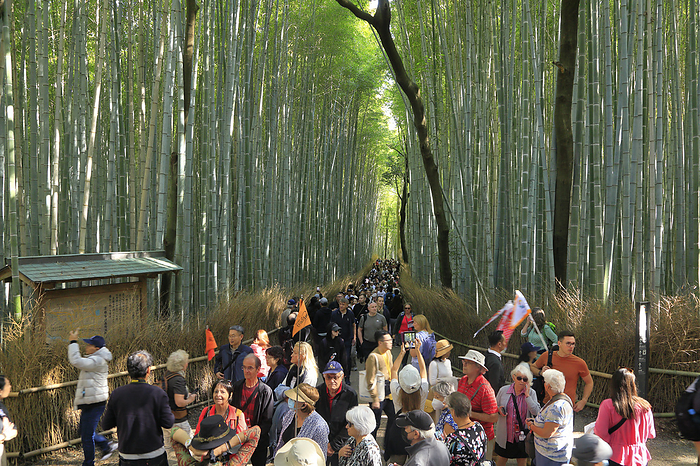 Crowded with tourists in Kyoto Arashiyama Bamboo Grove is crowded with foreign and Japanese tourists in Kyoto Prefecture, Japan, November 8, 2023.  Photo by Masahiro Dambayashi AFLO 