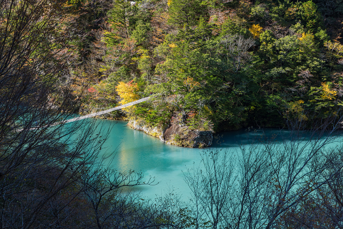 Japan, Kawane-Honmachi, Shizuoka Prefecture, the Dream Suspension Bridge at Sunmatakyo Gorge and trees with faintly colored leaves.