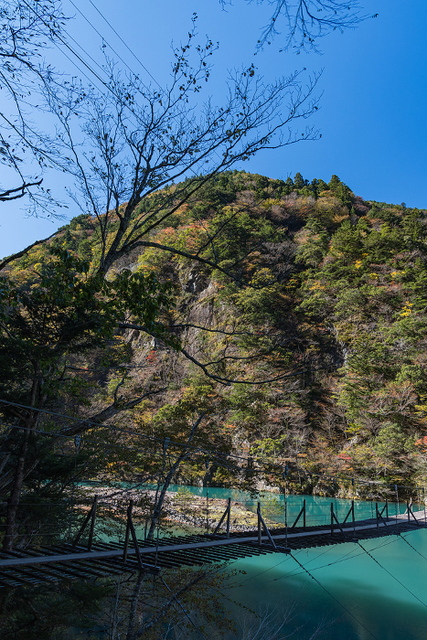 Japan, Kawane-Honmachi, Shizuoka Prefecture, the Dream Suspension Bridge at Sunmatakyo Gorge and trees with faintly colored leaves.