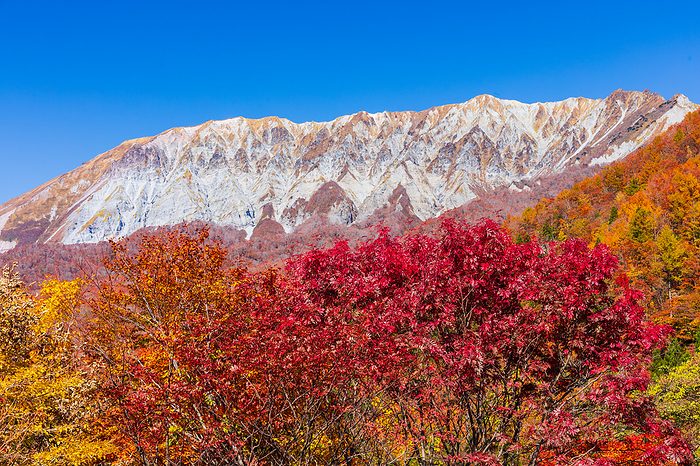 Autumn leaves at Kagikake Pass and Mt.