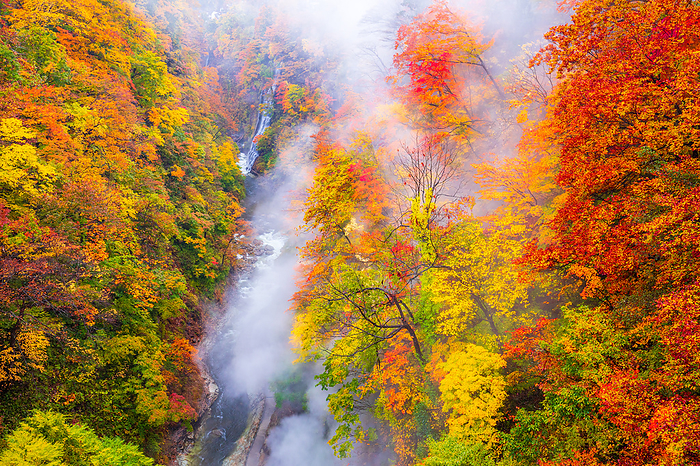 Koan Gorge in Autumn Akita Prefecture From Kawarayu Bridge