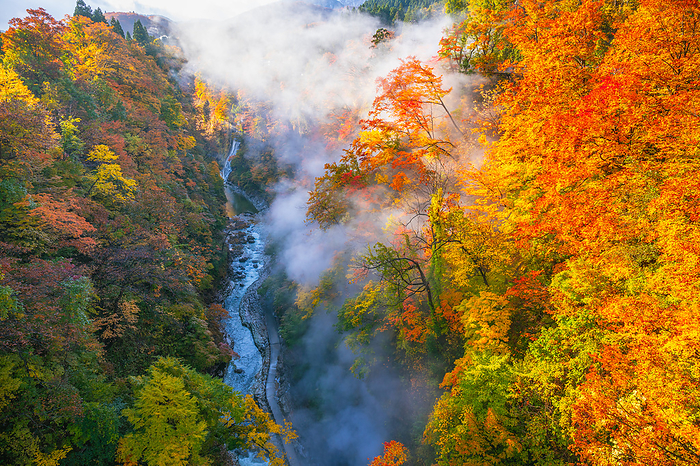Koan Gorge in Autumn Akita Prefecture From Kawarayu Bridge