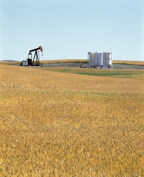 Canada Pumpjack And Wheat Field, Alberta, Canada, by Michael Interisano   Design Pics