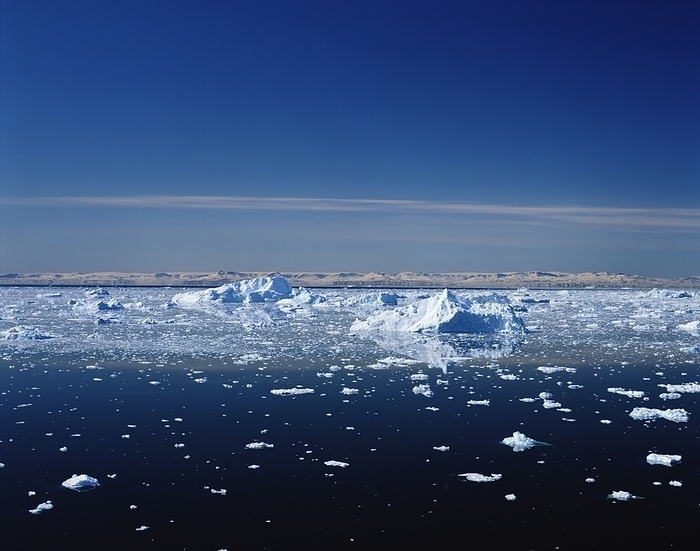 Small Icebergs In Disko Bay, by Henning Marstrand / Design Pics