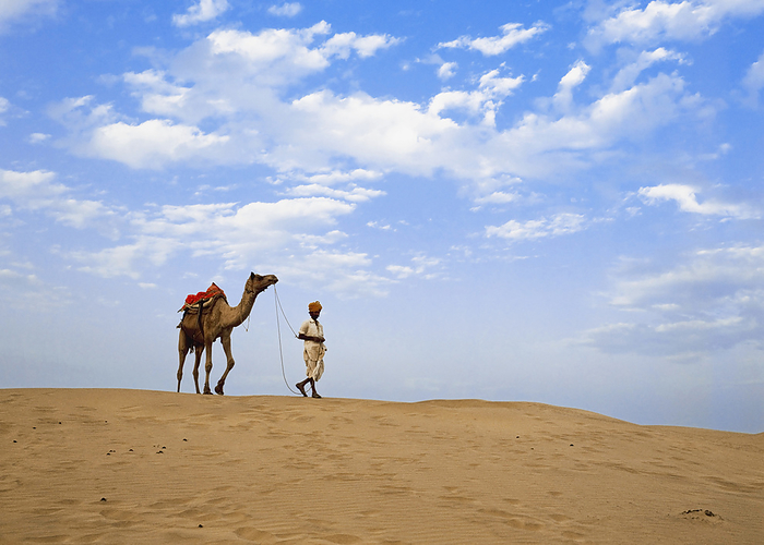 Man With Camel In Thar Desert, by Chris Caldicott / Design Pics