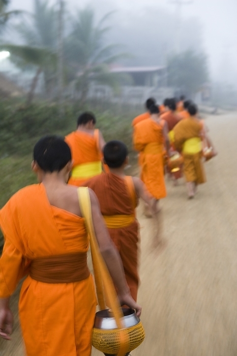 Novice Monks Out In The Early Morning Collecting Alms., by Toby Adamson / Design Pics