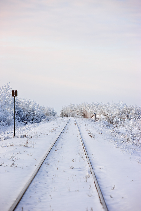 Canada Railroad Tracks On The Prairies Covered In Hoarfrost  Saskatchewan, Canada, by Carson Ganci   Design Pics