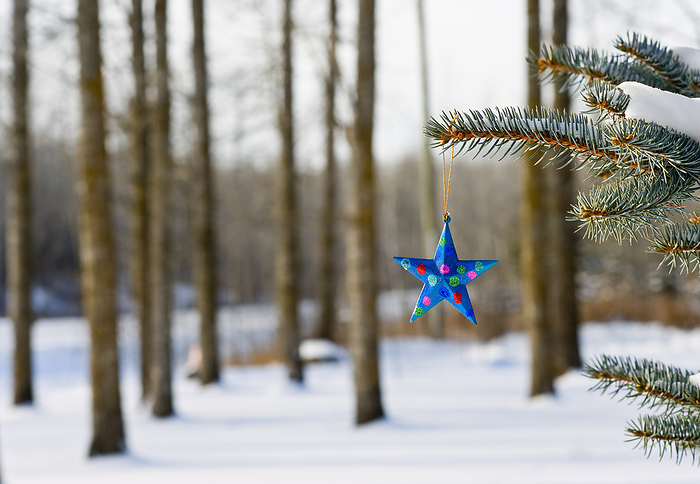 Canada Christmas Ornament Hanging From Outdoor Tree  Alberta, Canada, by Carson Ganci   Design Pics