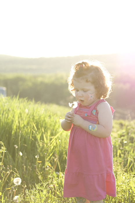Little Girl In Field Picking Flowers, Saint John, New Brunswick, by Mark Hemmings / Design Pics