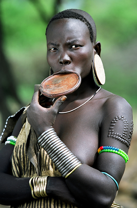 Ethiopia Portrait of a Mursi tribal woman displaying pierced ear lobes   lower lip  to hold a traditional  debhi a tugoin    lip plate  and scar tattoos. Makki   South Omo   Southern Nations, Nationalities   People s Region  Ethiopia ., by Alberto Arzoz   Design Pics