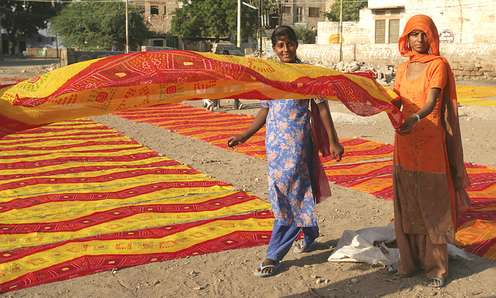 Jodhpur, India Dying Saris Out To Dry Jodhpur Rajasthan India, by Chris Caldicott   Design Pics