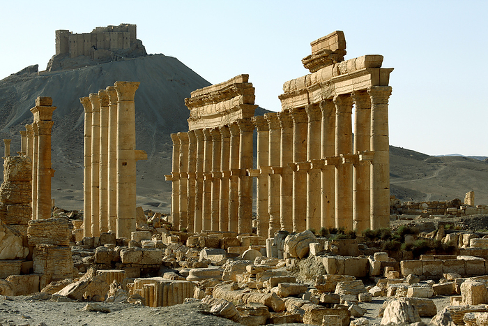 Palmyra, Syria PALMYRA RUINS SYRIA, by Chris Caldicott   Design Pics