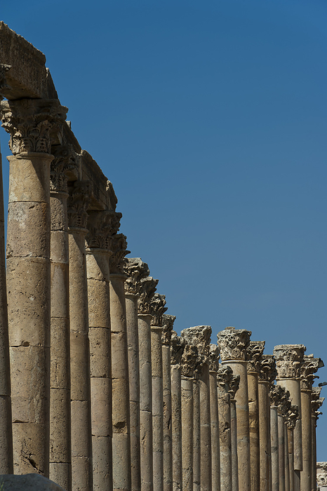 Jordan Cardo Maximus Colonnade At The Roman Ruins  Jerash, Jordan, by Chris Parker   Design Pics