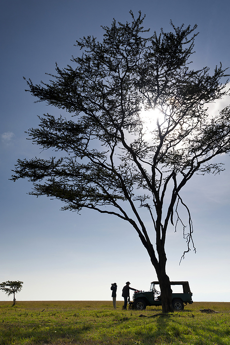 Kenya Client And Guide Having Breakfast Beneath Large Acacia Tree On Grassland, Ol Pejeta Conservancy  Kenya, by Ian Cumming   Design Pics