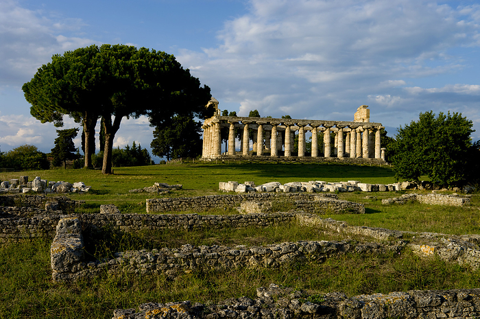 Italy Paestum, Athena, Ruins, Campania, Italy, by Charles Bowman   Design Pics
