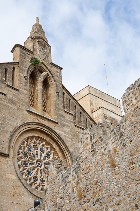 Majorca, Spain Sant Jaume s Church In Alcudia, Mallorca, Balearic Islands, Spain, by Dosfotos   Design Pics