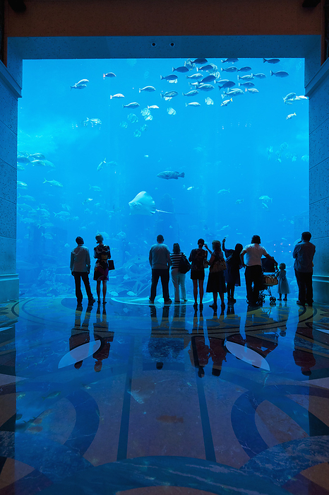 UAE Dubai Silhouette Of People Watching Fish In Aquarium, Atlantis The Palm Hotel  Dubai, United Arab Emirates, by Ian Cumming   Design Pics