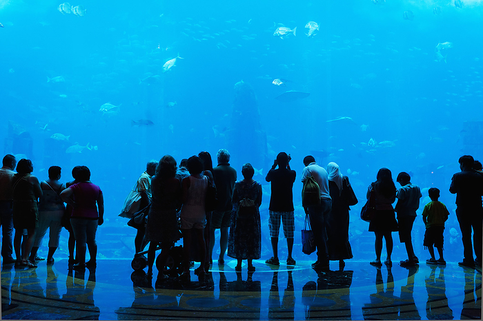 UAE Dubai Silhouette Of People Watching Fish In Aquarium, Atlantis The Palm Hotel  Dubai, United Arab Emirates, by Ian Cumming   Design Pics