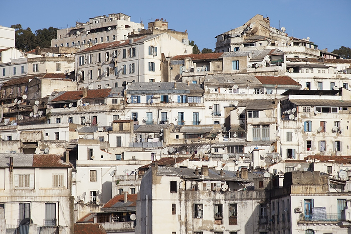 Algeria View Of The Casbah, Seen From Hotel Safir  Algiers, Algeria, by Chris Bradley   Design Pics