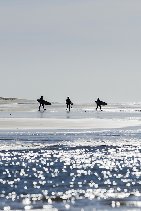Spain Surfers On The Coast  El Palmar, Costa De La Luz, Cadiz, Andalusia, Spain, by Ben Welsh   Design Pics