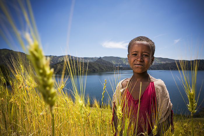 Ethiopia Young Boy In Wheat Field, Wenchi Crater And Lake, To The West Of Addis Ababa  Ethiopia, by Toby Adamson   Design Pics